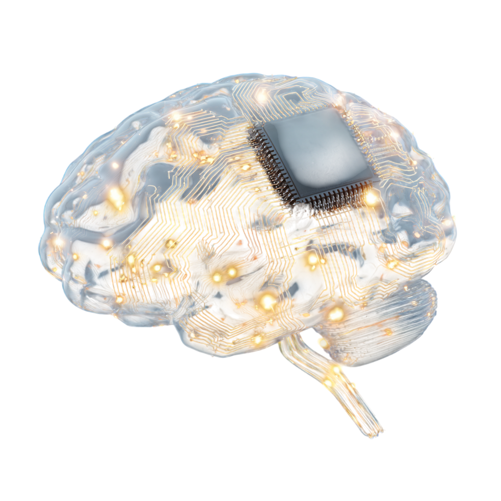 Brain